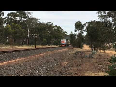 B61 with GM10  light engine through Stawell , 8:47 , November 24 2017