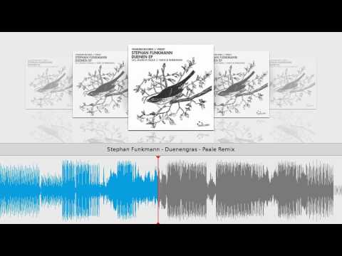 Stephan Funkmann - Duenengras - Paale Remix