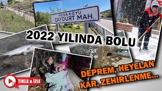 2022 Yılında Bolu'da neler yaşandı?