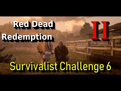 Red Dead Redemption 2 Survivalist challenge 6