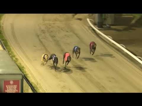 2018 TV TROPHY FINAL - SAVANA WINNER