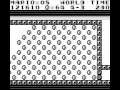 GB Super Mario Land Glitches