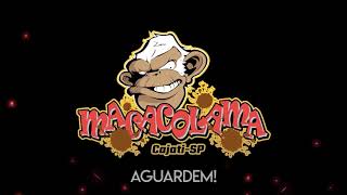 Divulgação 4º Macacolama