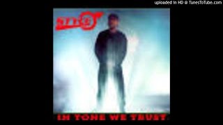 Style - In Tone We Trust - 10 - Victim To The Vinyl