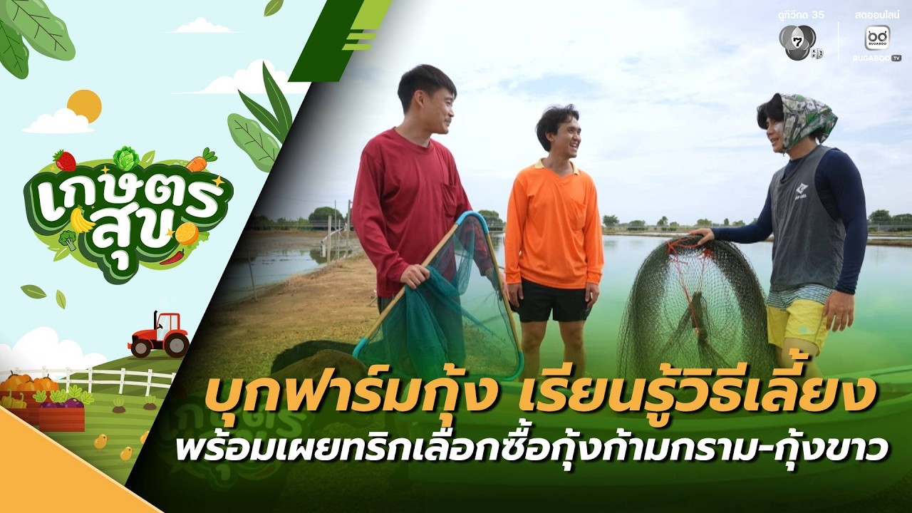 เกษตรสุข EP.29 | บุกฟาร์มกุ้ง เรียนรู้วิธีเลี้ยง เผยทร