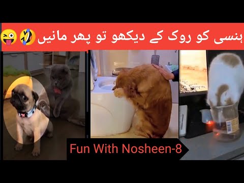Funniest Animals🤣😜 |Best Of 2024 Videos Compilation-02 |सबसे मजेदार जानवर||@FunWithNosheen-8