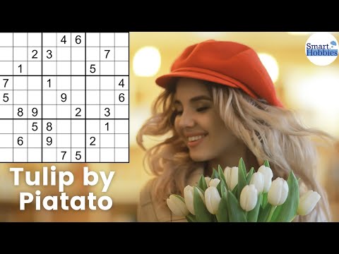 This Sure Fire Trick Makes Sudoku Puzzles Easier – SHC 157