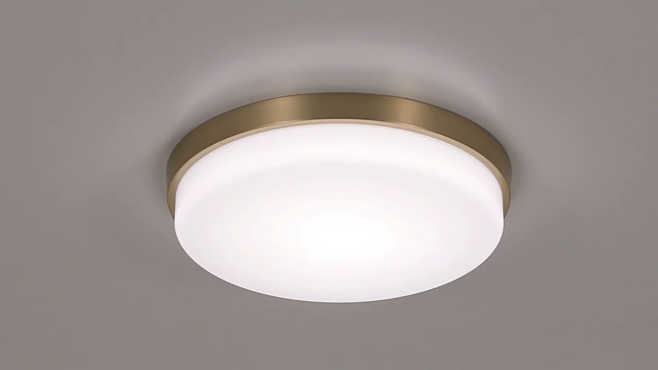 Video 1 Watch A Video About the Possini Euro Winfrey Gold and White LED Ceiling Light