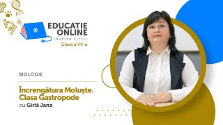Încrengătura Moluște. Clasa Gastropode
