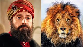 СРАВНЕНИЕ ГЕРОЕВ с ЖИВОТНЫМИ Великолепный век смешные фото Muhteşem yüzyıl HURREM SULTAN