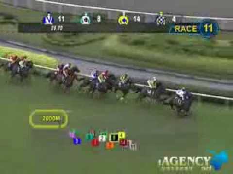 SINGAPORE RACE 17/11/2013 RACE 11 - iAgencyNet.com