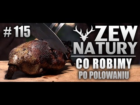 Co myśliwi robią z upolowaną zwierzyną? - @ZEWNATURY odc. 115