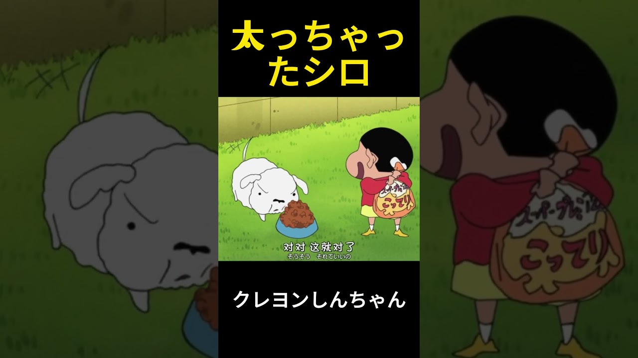 シロが太った #クレヨンしんちゃん #アニメ #面白い #fuuny #anime