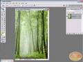 Photoshop tutorial on removing timestamp from your photos