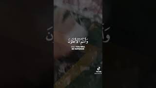 Download lagu Surah Al-Imran | 139 #quran #shorts mp3