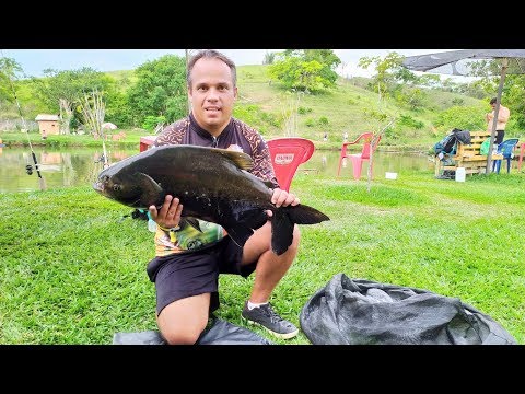 Maior Tamba no Torneio de Pesca Rancho Fortaleza- Pt2