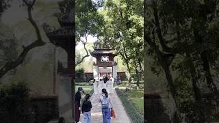 Hanoi in a Minute | Travel Shorts #vietnam #vlog #hanoi #tra…