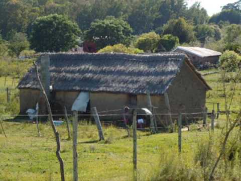 Eduardo Moreno Y Jose Curbelo