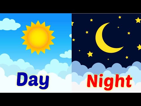 Day and Night | Day and Night for Kids | Things We See in the Day and Night | Kids Learning Videos