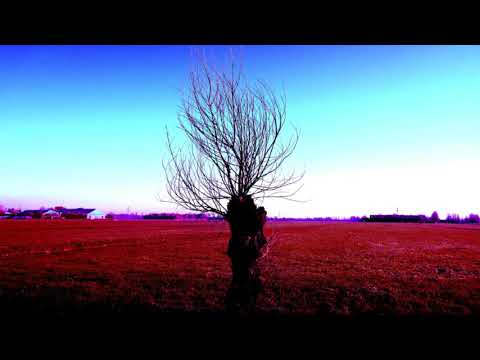 MONDAY by Jeroen Elfferich ( minimal music for 2 pianos)