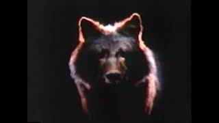 Danzig devils plaything