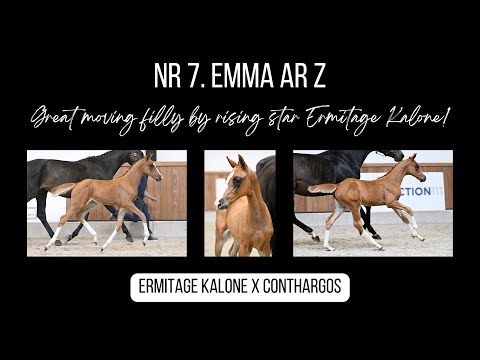 International performing relatives to Emma AR Z