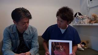 【シュガーペット＃30】難病を持ったペットとの付き合い方