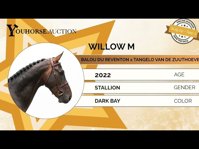 Willow showvideo