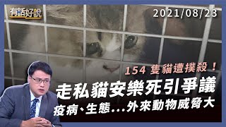 Re: [問卦] 北一女、台大獸醫系畢業的簡稚澄的八卦？