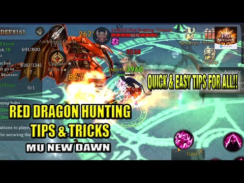 Tips & Tricks for Red Dragon Hunting - MU New Dawn
