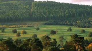 The 5th ~David Garrett~