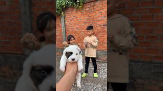 Download lagu Simple girl Smart ideas and USEFUL with dog #bushcraft #camping #outdoors #survival mp3