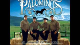 Los Palominos - Dos Amores