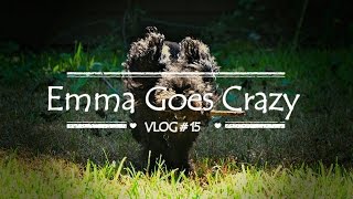Vlog # 15: Emma Goes Crazy