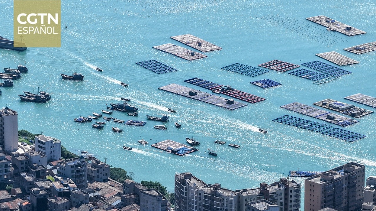 La economía marítima de China crece un 5,1 % en el primer semestre de 2026