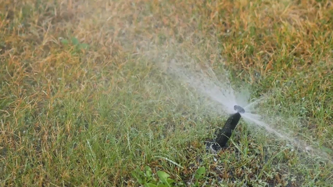 Continúan las medidas ante la escasez de agua