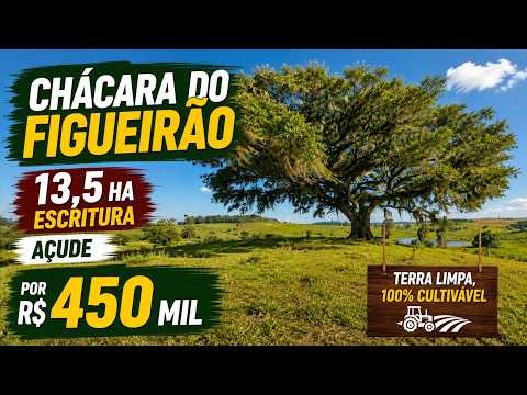 Vídeo