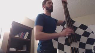 Tiger Army - Nocturnal upright bass cover