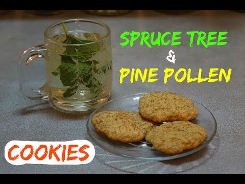 How to Make Spruce Tree and Pine Pollen Cookies