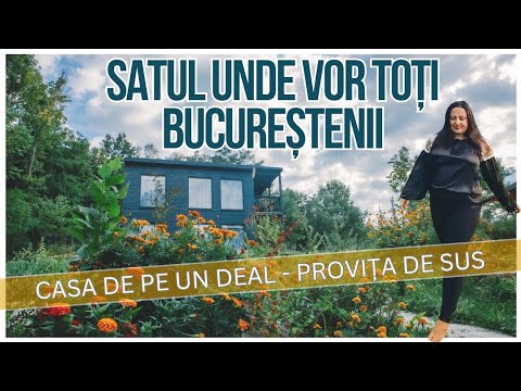 Am stat la tiny house în Provița de Sus