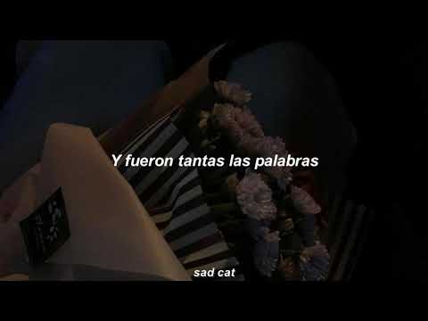 León Larregui -  Souvenir // Letra