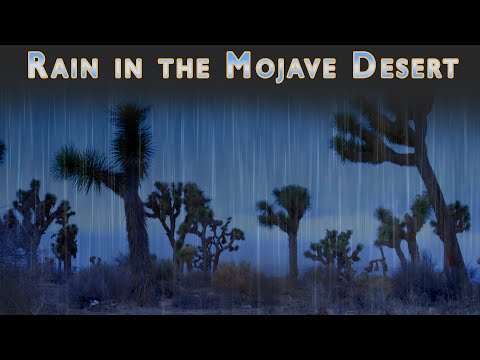 Rain sounds. Rain in the Mojave Desert. Rain Sounds for Sleeping, Insomnia,  Relaxing.