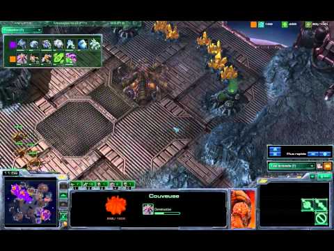 TLO(T) vs Vortix(Z) Delta Quadrant [FR]