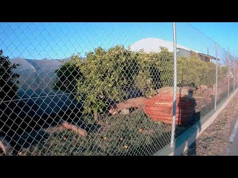 Por los alrededores del pueblo de Borboto