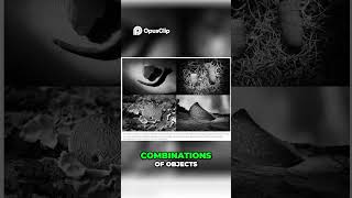 Unearthing Secrets  The Colony&#39;s Mysterious Circles