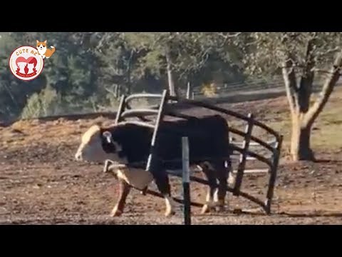 download lagu mp3 mp4 Cute Az, download lagu Cute Az gratis, unduh video klip Cute Az