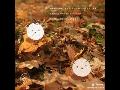 枯れ葉5リサイクル提案