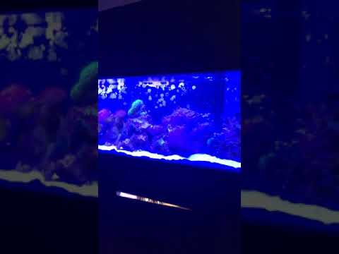 27 de diciembre de 2019