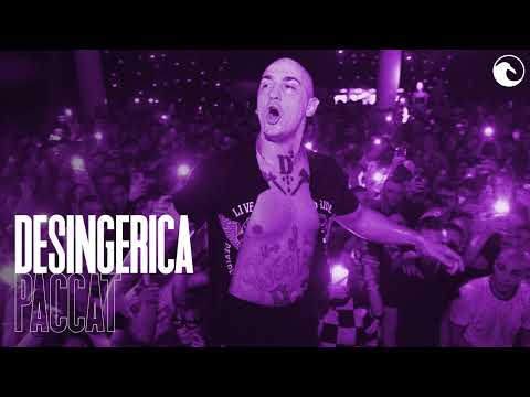 😈 Desingerica x Pljugica SELJACKI DRILL type beat 2024 | PACCAT |