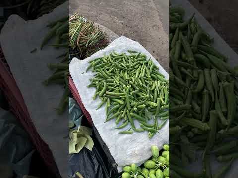Feira de pio XII Maranhão ❤️